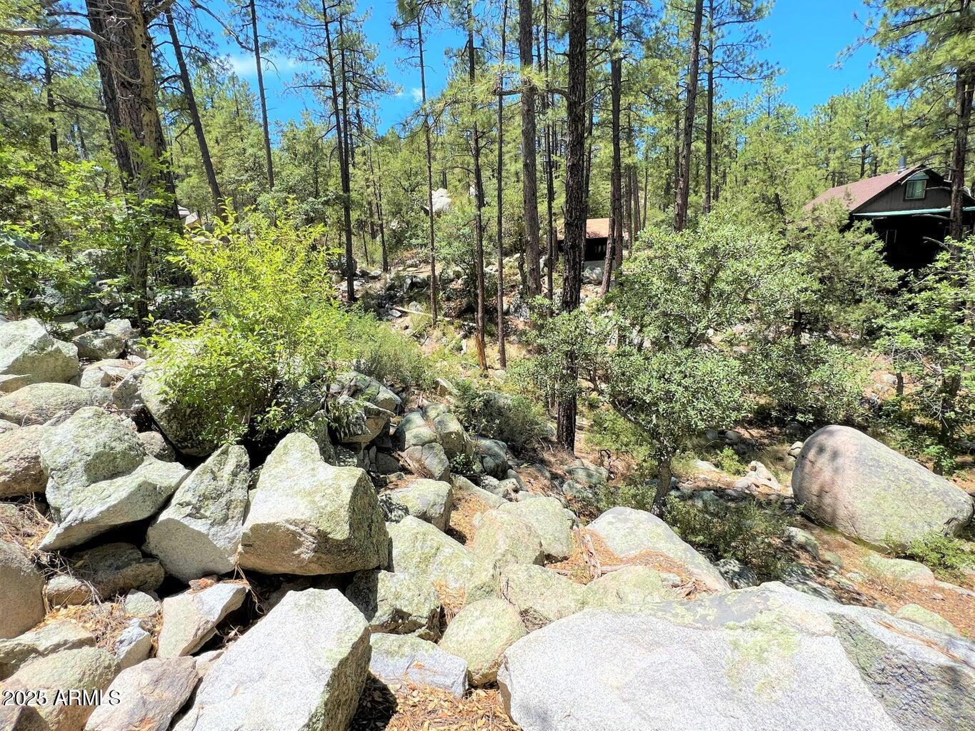 23830 South Van Tilborg Road Crown King, AZ 86343 - Photo 26 of 44 26