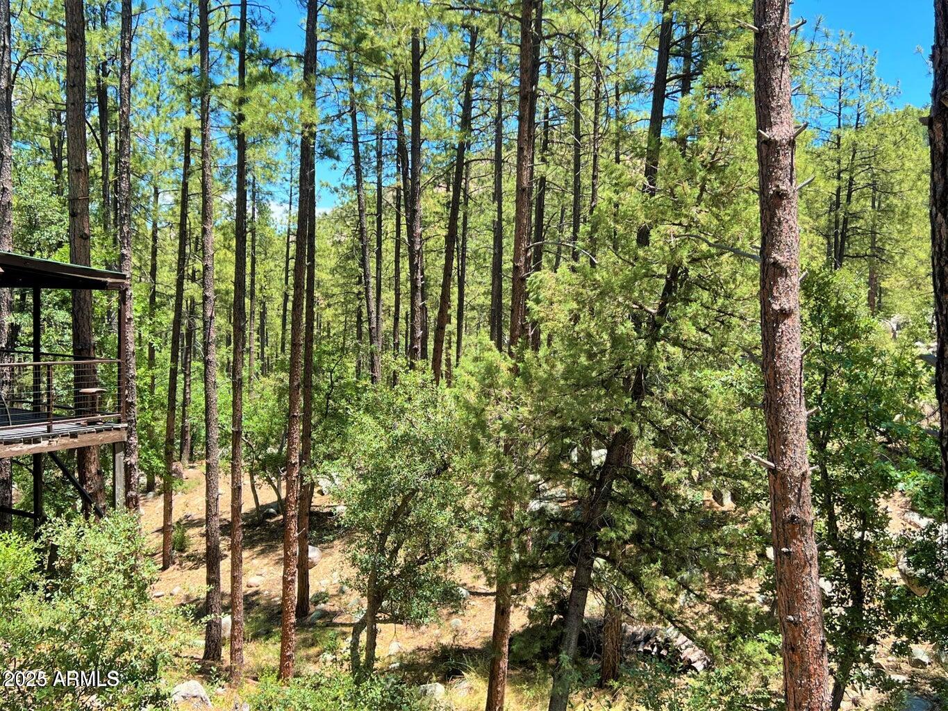 23830 South Van Tilborg Road Crown King, AZ 86343 - Photo 36 of 44 36