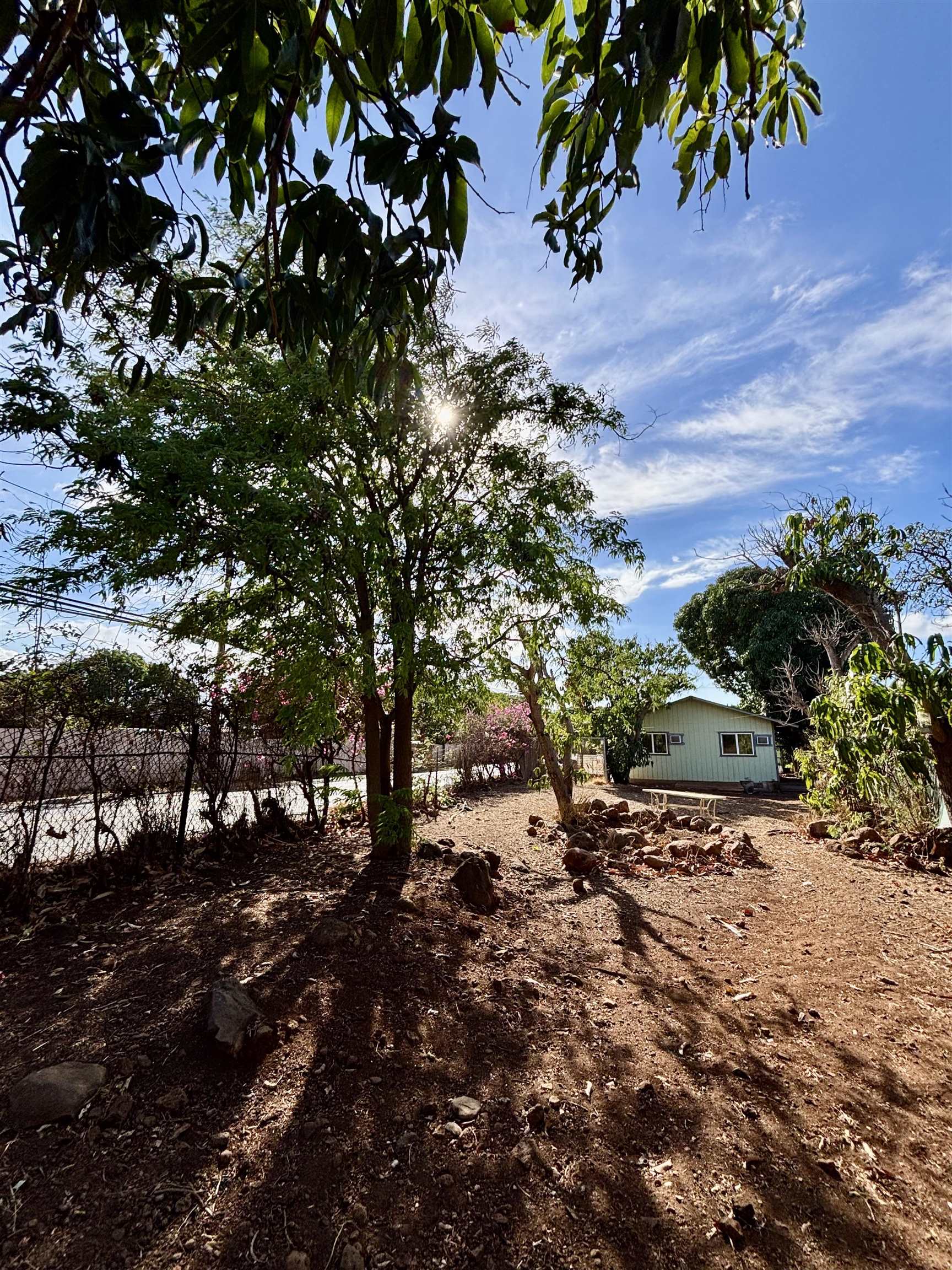 95 Ohukai Road Kihei, HI 96753 - Photo 18 of 41 Guest Ohana Yard space