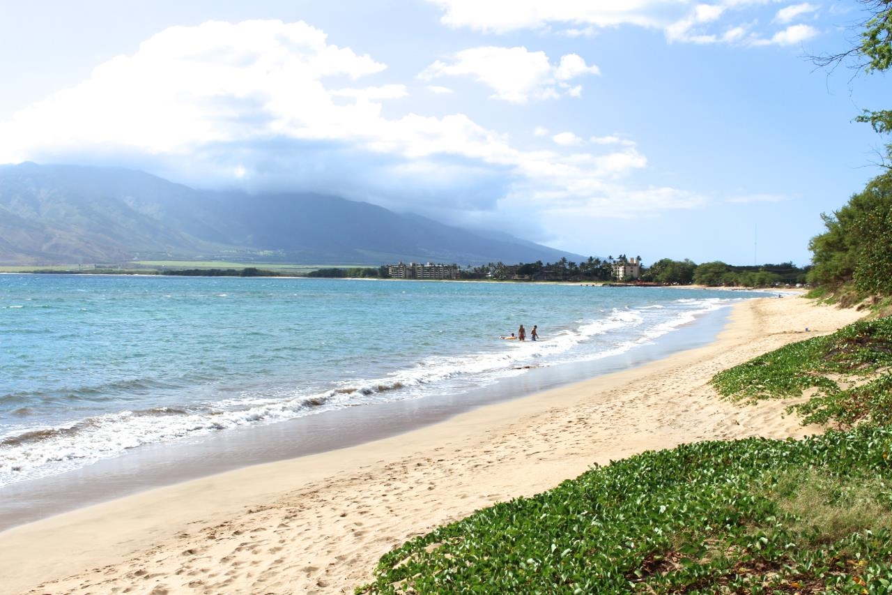 95 Ohukai Road Kihei, HI 96753 - Photo 2 of 41 Walk to Beach