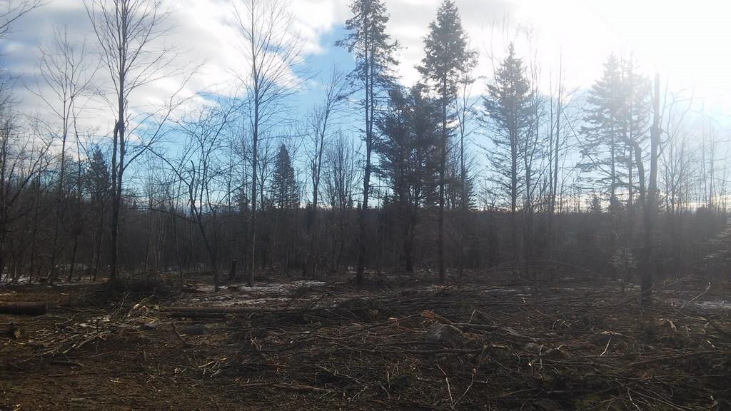 0 Gray Hill Road Dover-Foxcroft, ME 04426 - Photo 1 of 2 Photo
