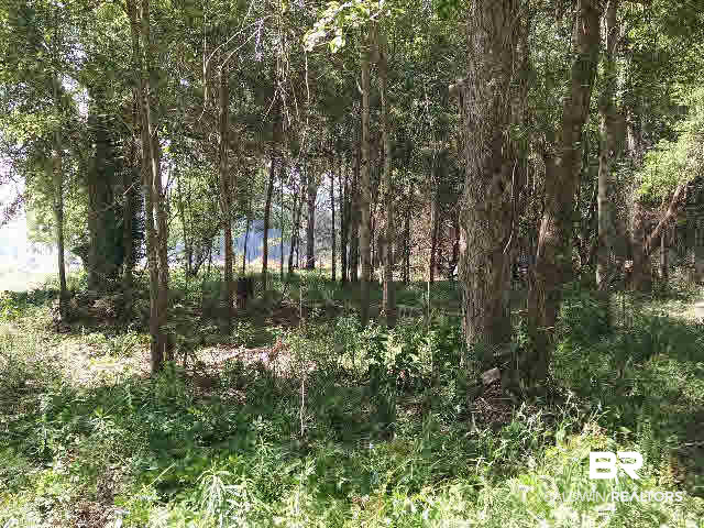 0 East Michigan Avenue Foley, AL 36535 - Photo 1 of 8
