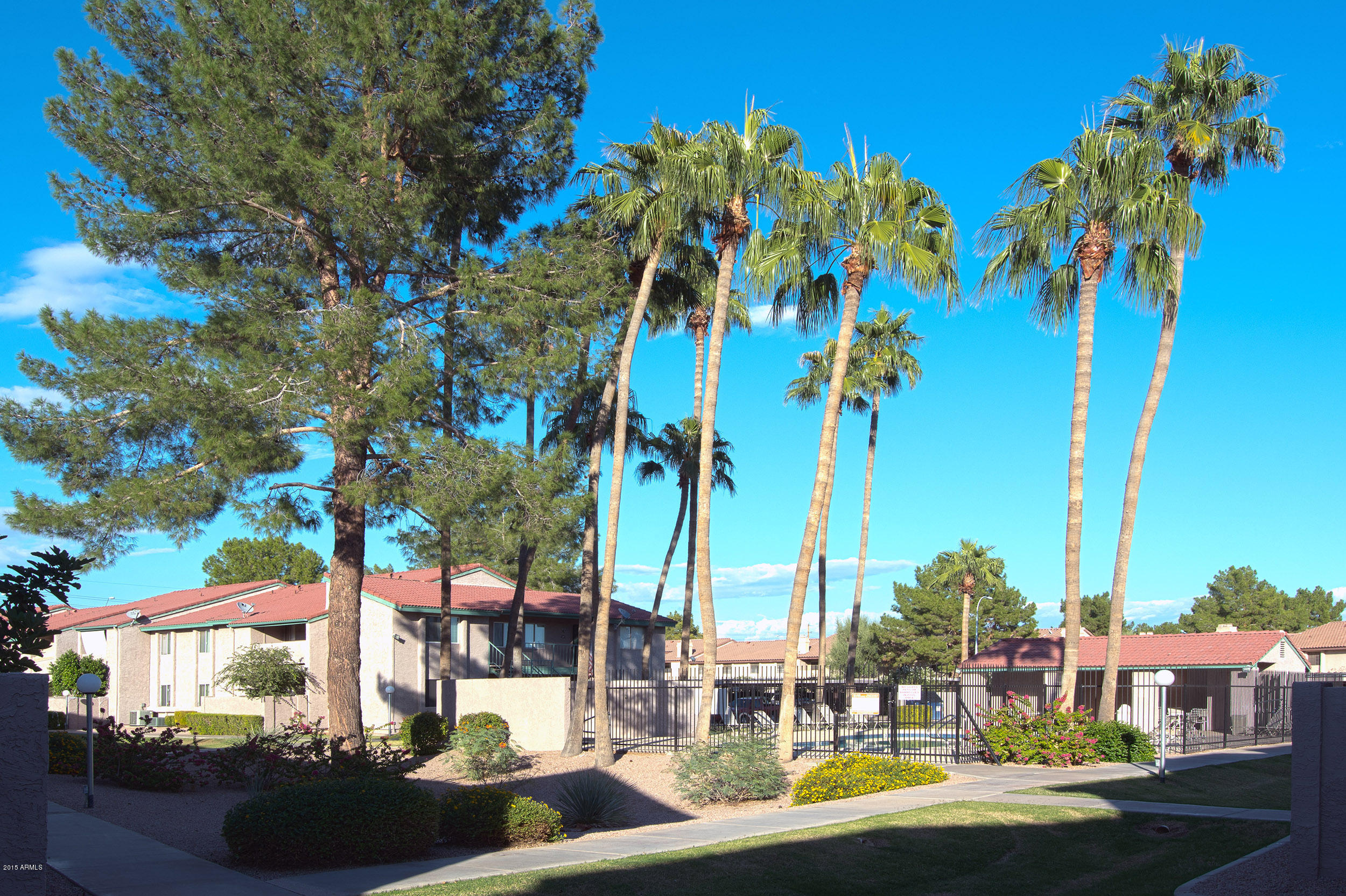623 West Guadalupe Road, Unit 295 Mesa, AZ 85210 - Photo 20 of 20 DSC2475a