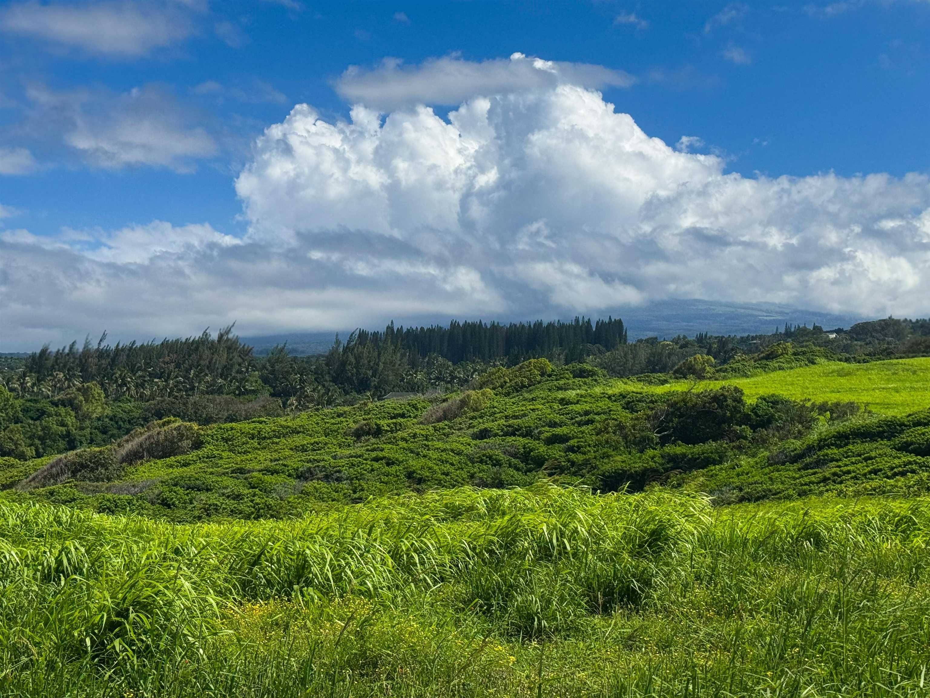 744 Kai Huki Circle, Unit LOT 9 Haiku, HI 96708 - Photo 24 of 24 a view of a green field