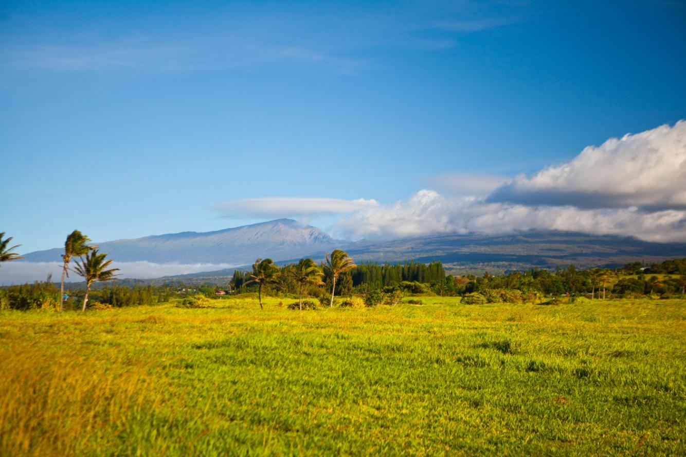744 Kai Huki Circle, Unit LOT 9 Haiku, HI 96708 - Photo 5 of 12