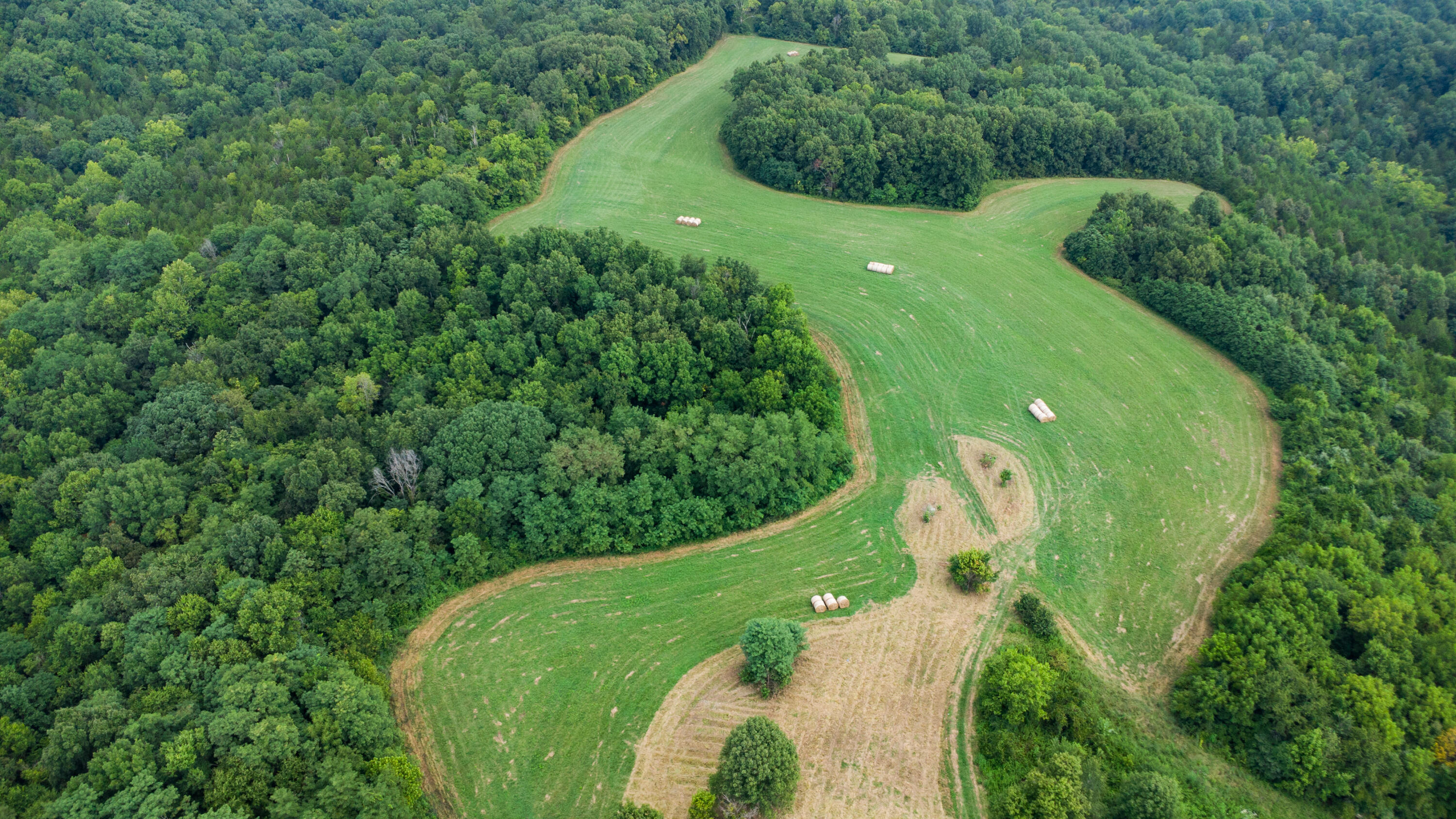 4095 Warsaw Road Dry Ridge, KY 41035 - Photo 6 of 48