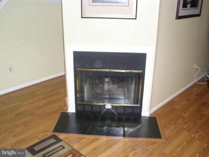 332 Scola Road Brookhaven, PA 19015 - Photo 6 of 12 Fireplace