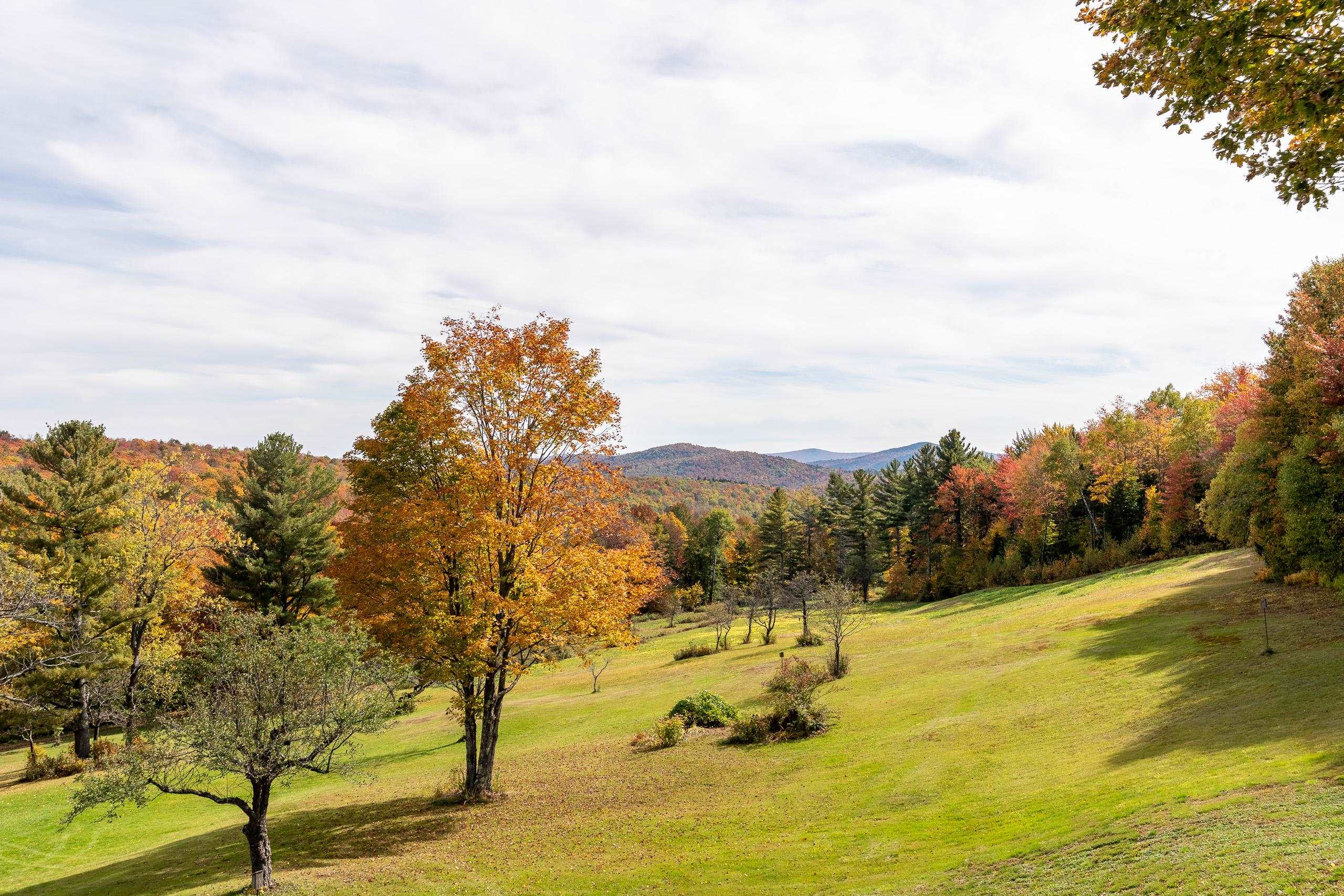 709 Little Sherburne Road Killington, VT 05751 - Photo 44 of 60