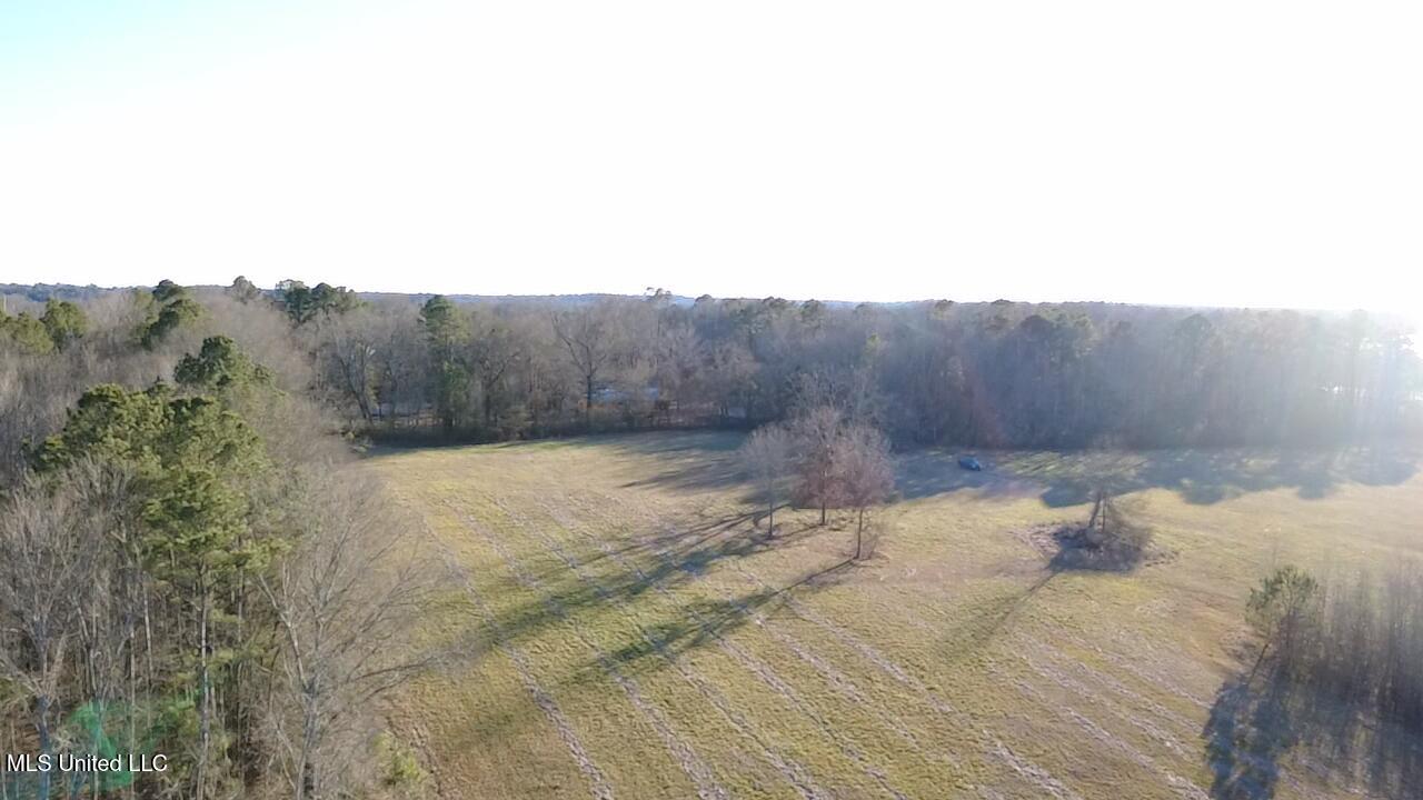 0 Ms-13 Morton, MS 39117 - Photo 12 of 30 2026-02-06-16-23-19-945