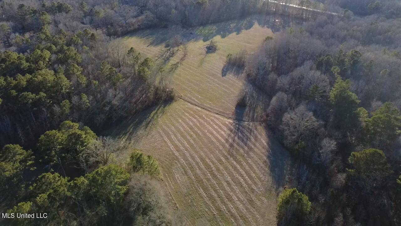 0 Ms-13 Morton, MS 39117 - Photo 15 of 30 2026-02-06-16-24-13-642