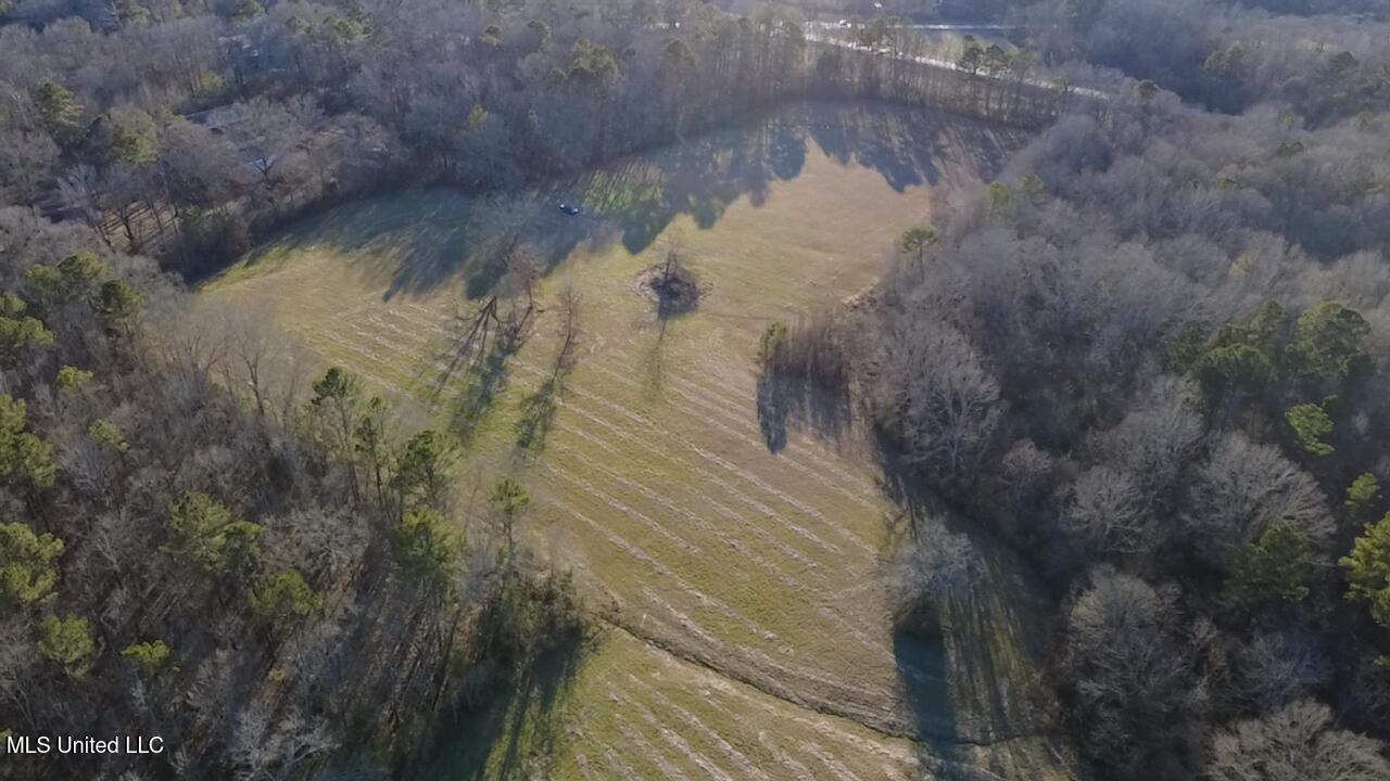 0 Ms-13 Morton, MS 39117 - Photo 16 of 30 2026-02-06-16-24-31-022