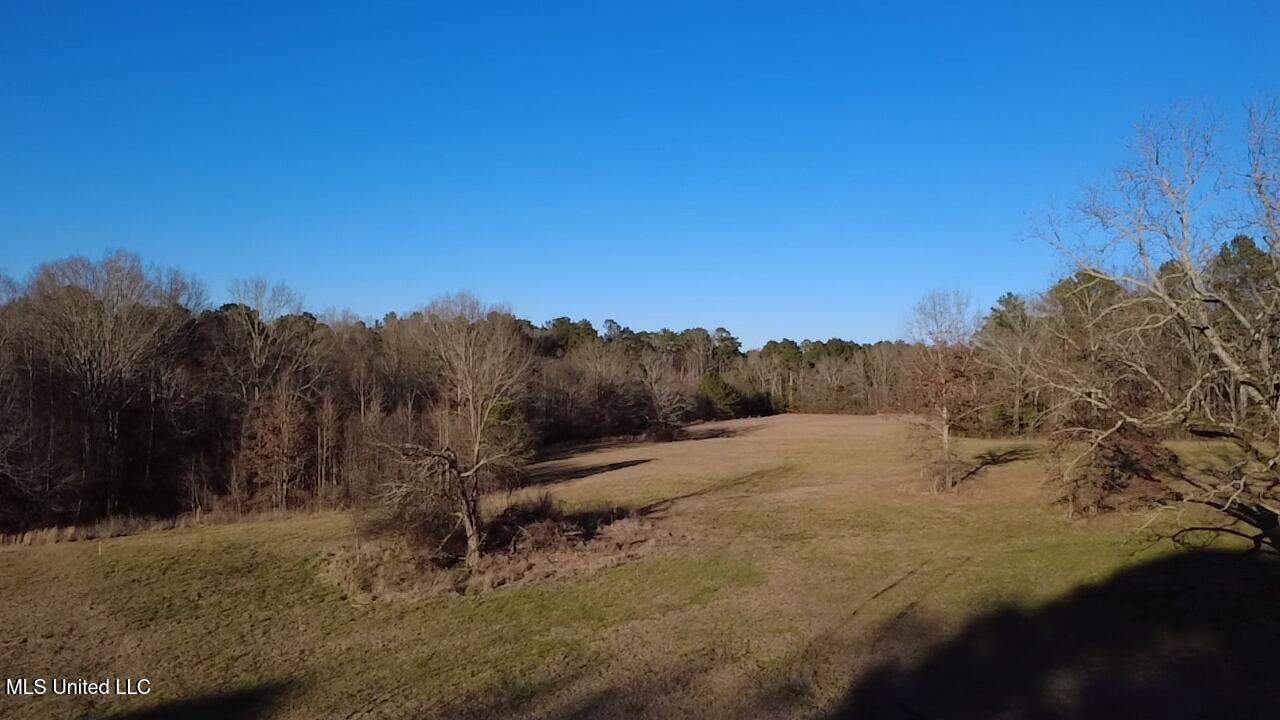 0 Ms-13 Morton, MS 39117 - Photo 17 of 30 2026-02-06-16-18-56-157