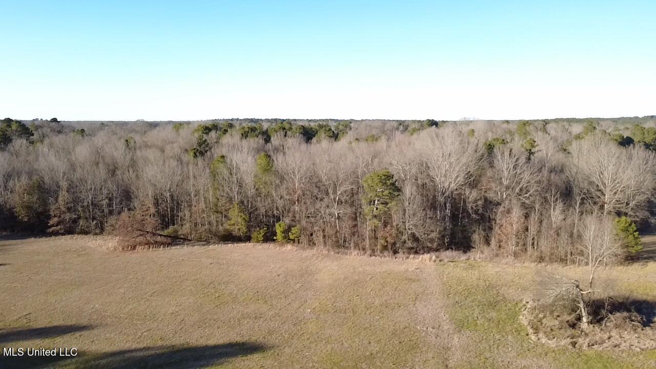 0 Ms-13 Morton, MS 39117 - Photo 21 of 30 2026-02-06-16-19-55-875