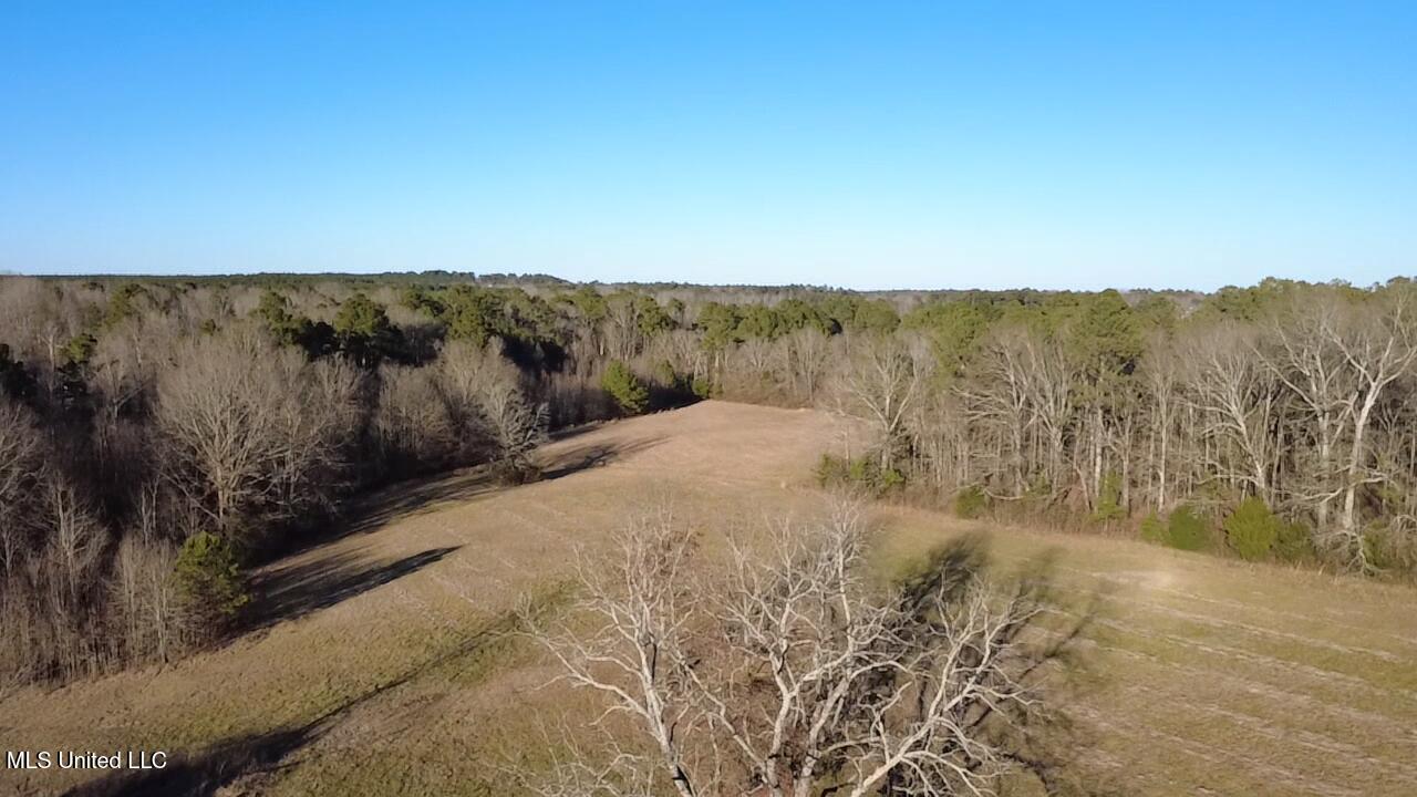 0 Ms-13 Morton, MS 39117 - Photo 24 of 30 2026-02-06-16-20-26-352