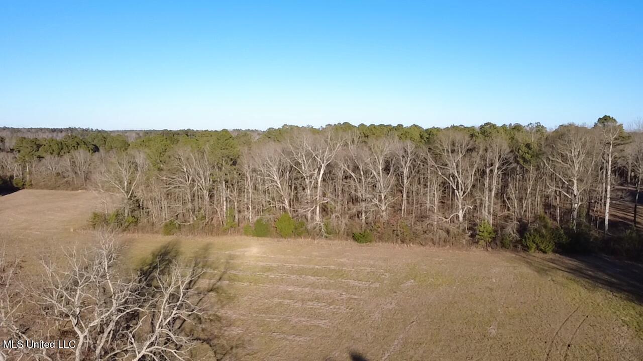 0 Ms-13 Morton, MS 39117 - Photo 25 of 30 2026-02-06-16-20-29-238