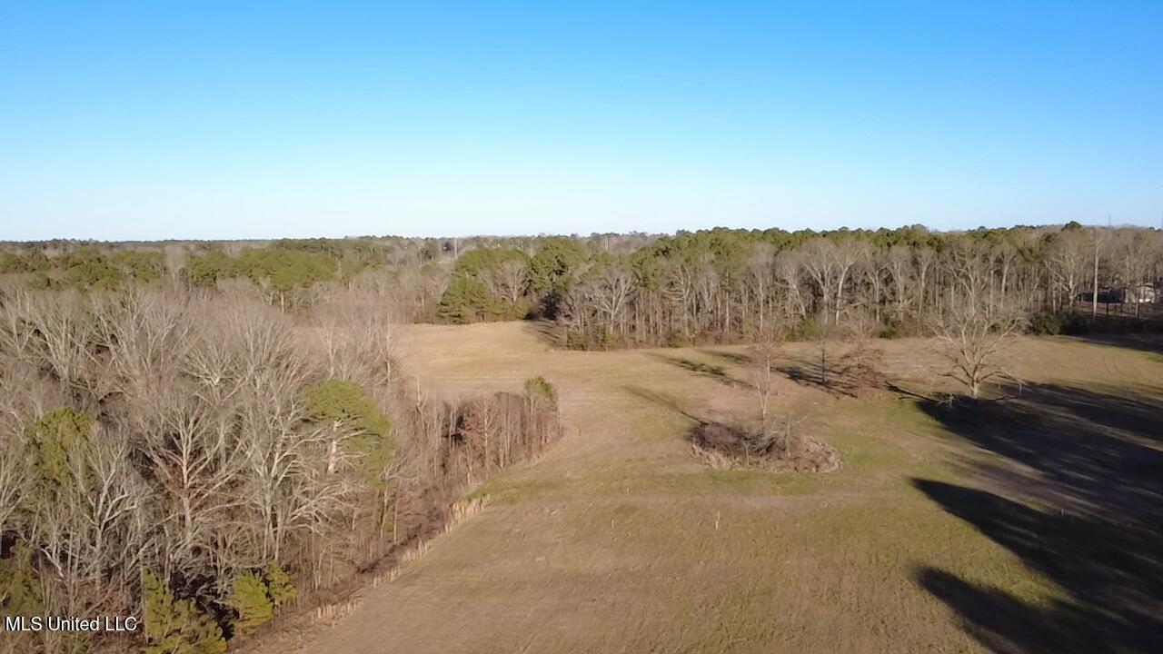 0 Ms-13 Morton, MS 39117 - Photo 26 of 30 2026-02-06-16-21-02-156