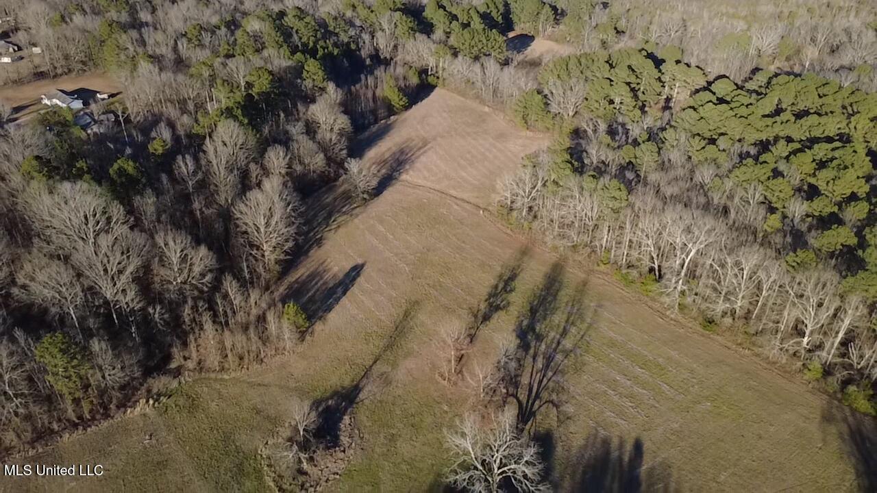 0 Ms-13 Morton, MS 39117 - Photo 3 of 30 2026-02-06-16-25-53-523