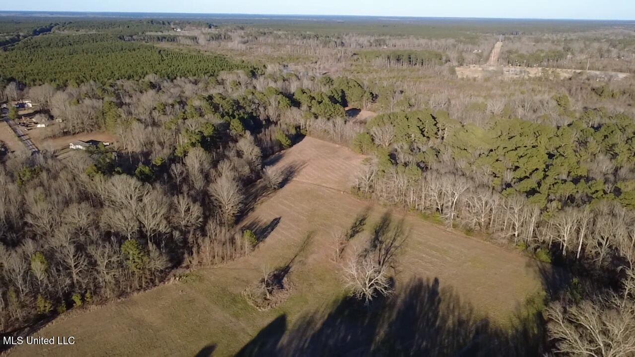 0 Ms-13 Morton, MS 39117 - Photo 4 of 30 2026-02-06-16-26-06-789