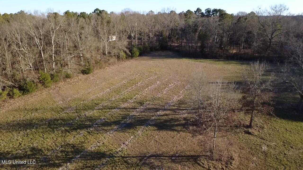 0 Ms-13 Morton, MS 39117 - Photo 7 of 30 2026-02-06-16-21-53-423