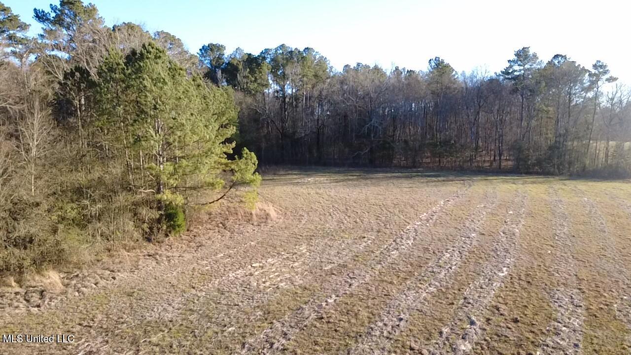 0 Ms-13 Morton, MS 39117 - Photo 10 of 30 2026-02-06-16-22-55-758