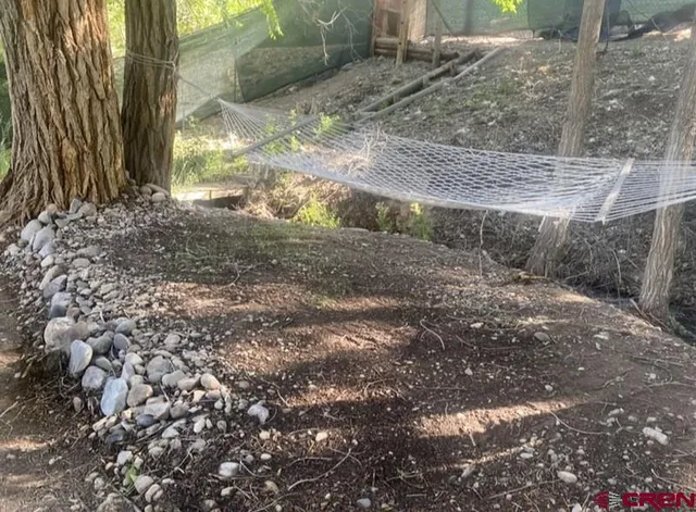 a view of a yard with plants and trees