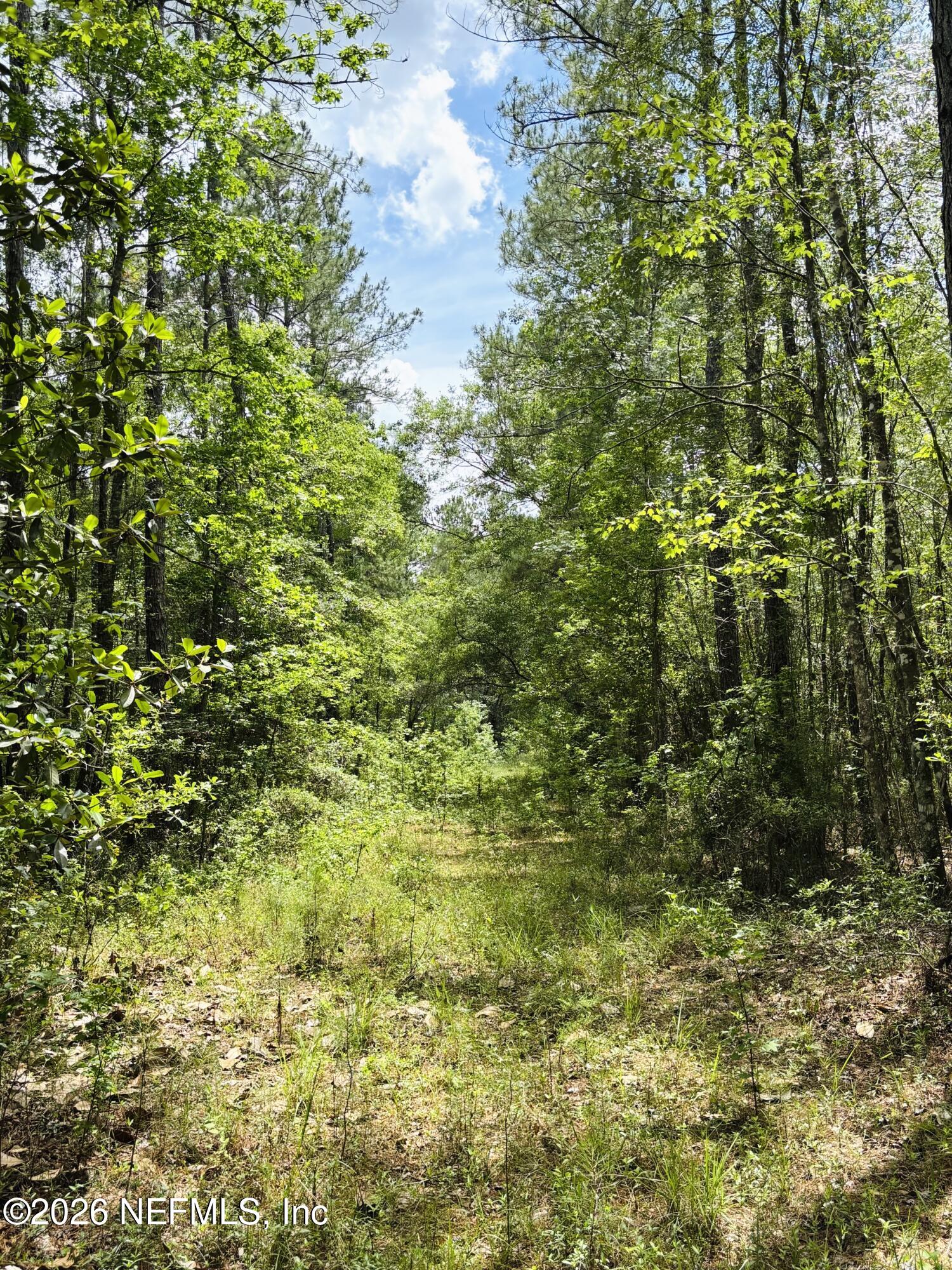 0 Lake Hampton Road Hilliard, FL 32046 - Photo 3 of 23 a view of a big yard