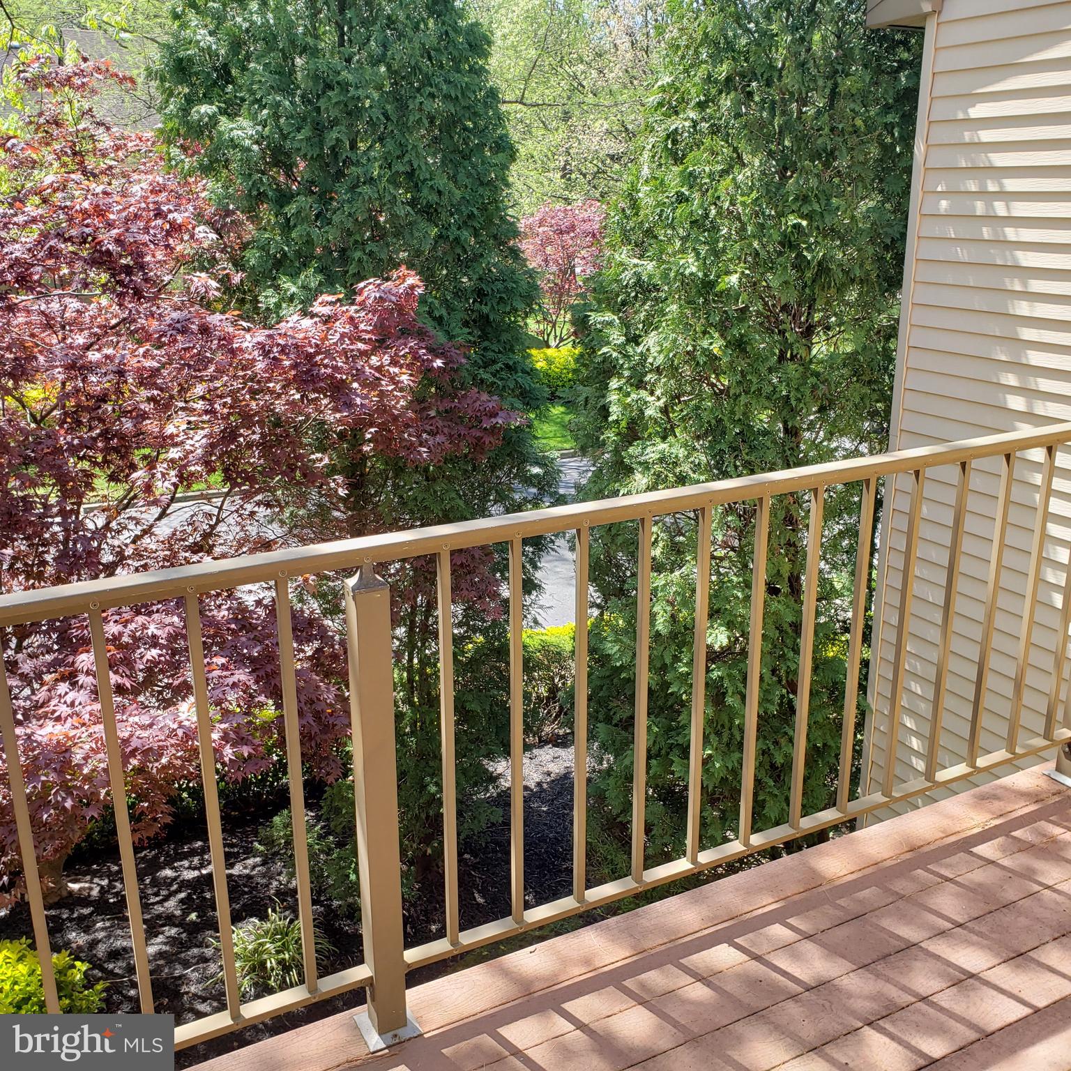 102 B Cypress Point Circle Mount Laurel, NJ 08054 - Photo 19 of 20 View from balcony, trees and then the golf course