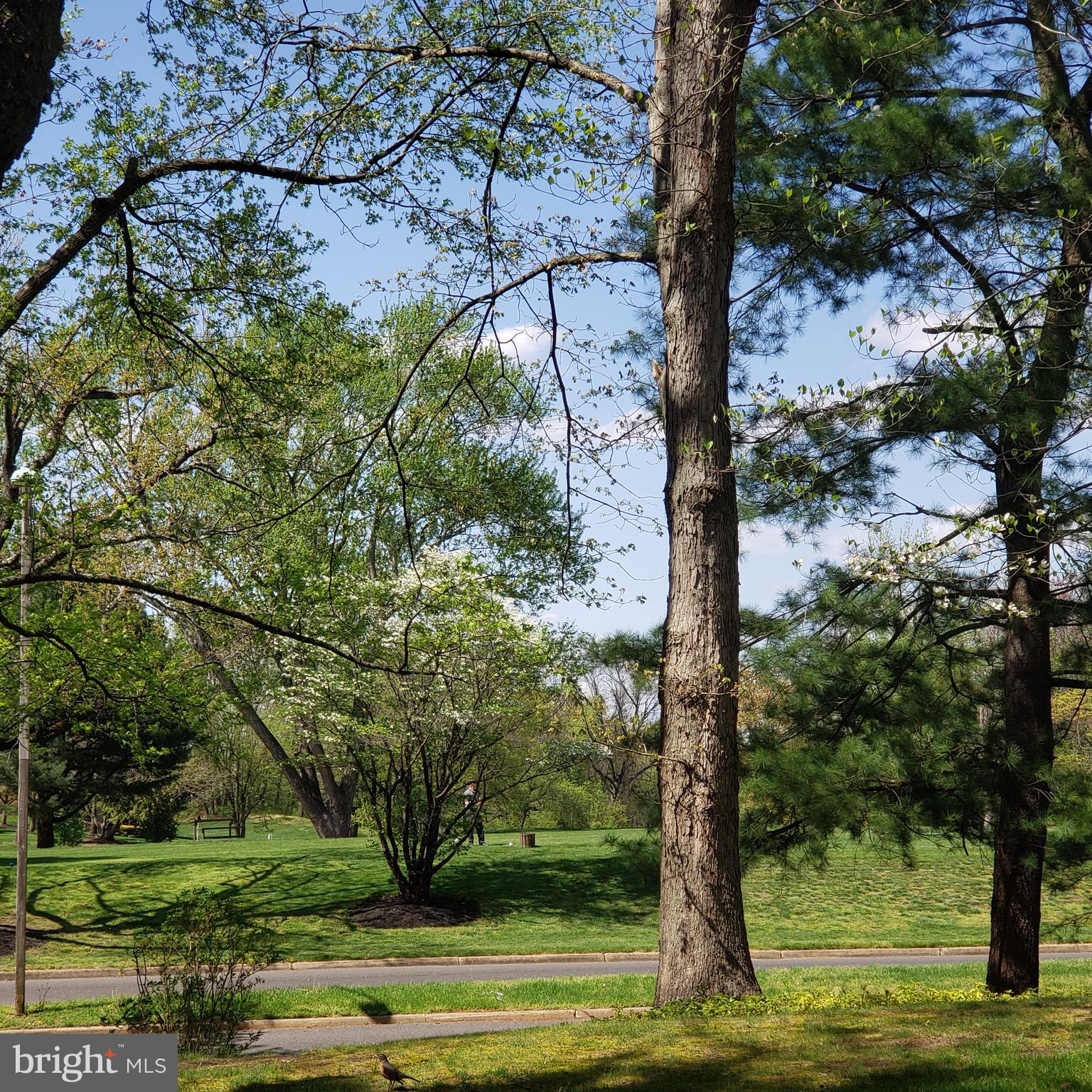 102 B Cypress Point Circle Mount Laurel, NJ 08054 - Photo 20 of 20 Golf course right across the road !