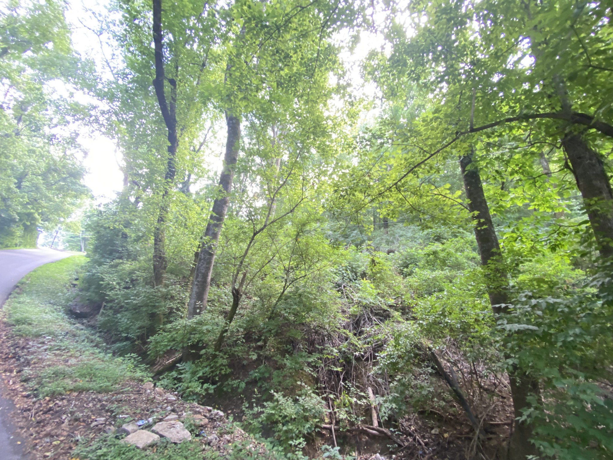 5113 West Concord Road Brentwood, TN 37027 - Photo 1 of 1