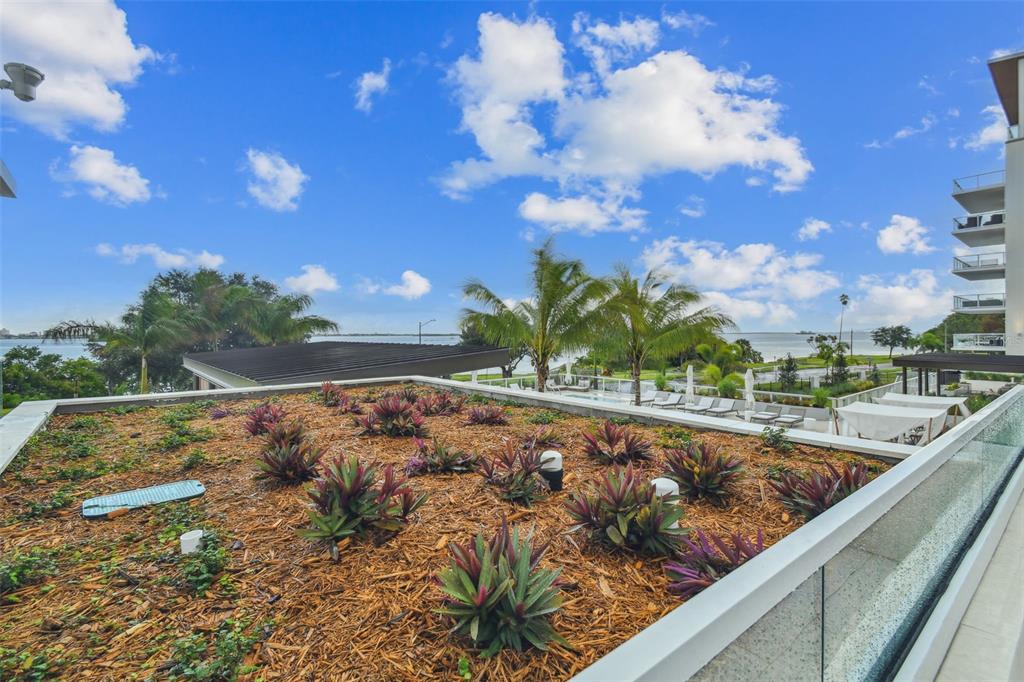1020 Sunset Point Road, Unit 207 Clearwater, FL 33755 - Photo 63 of 64 Gallery Image 63