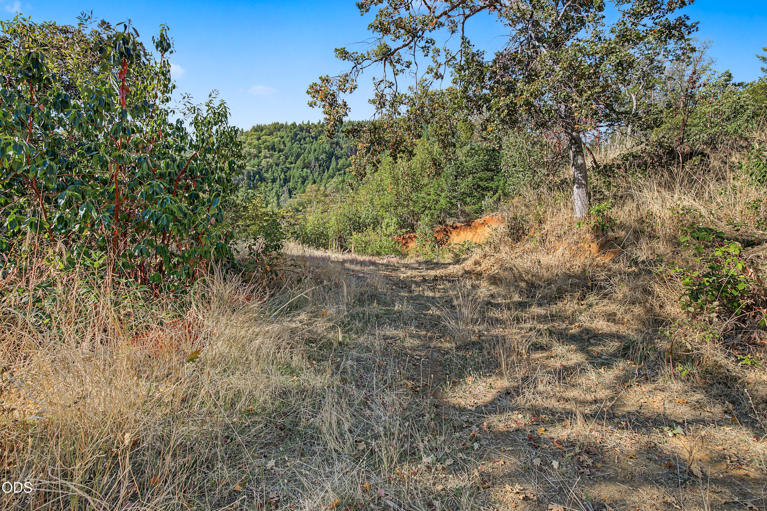 1650 Neil Creek Road Ashland, OR 97520 - Photo 44 of 71 Gallery Image 44