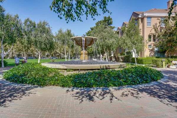 a view of a garden with trees