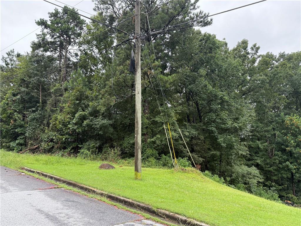 3833 Rolling Place Conley, GA 30288 - Photo 4 of 5 a view of a park with a tree