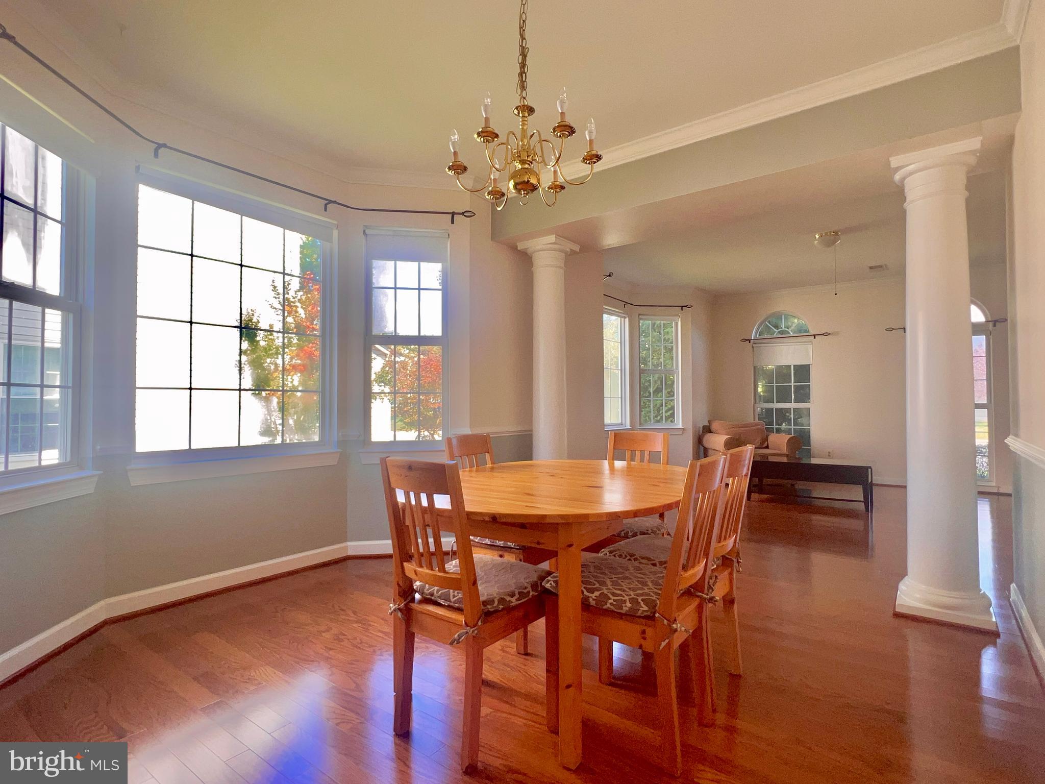 21295 Fultonham Circle Ashburn, VA 20147 - Photo 8 of 33