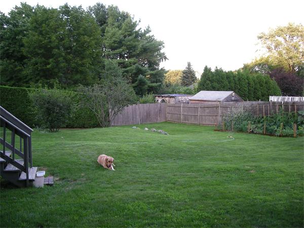32 Carroll Road Woburn, MA 01801 - Photo 2 of 13