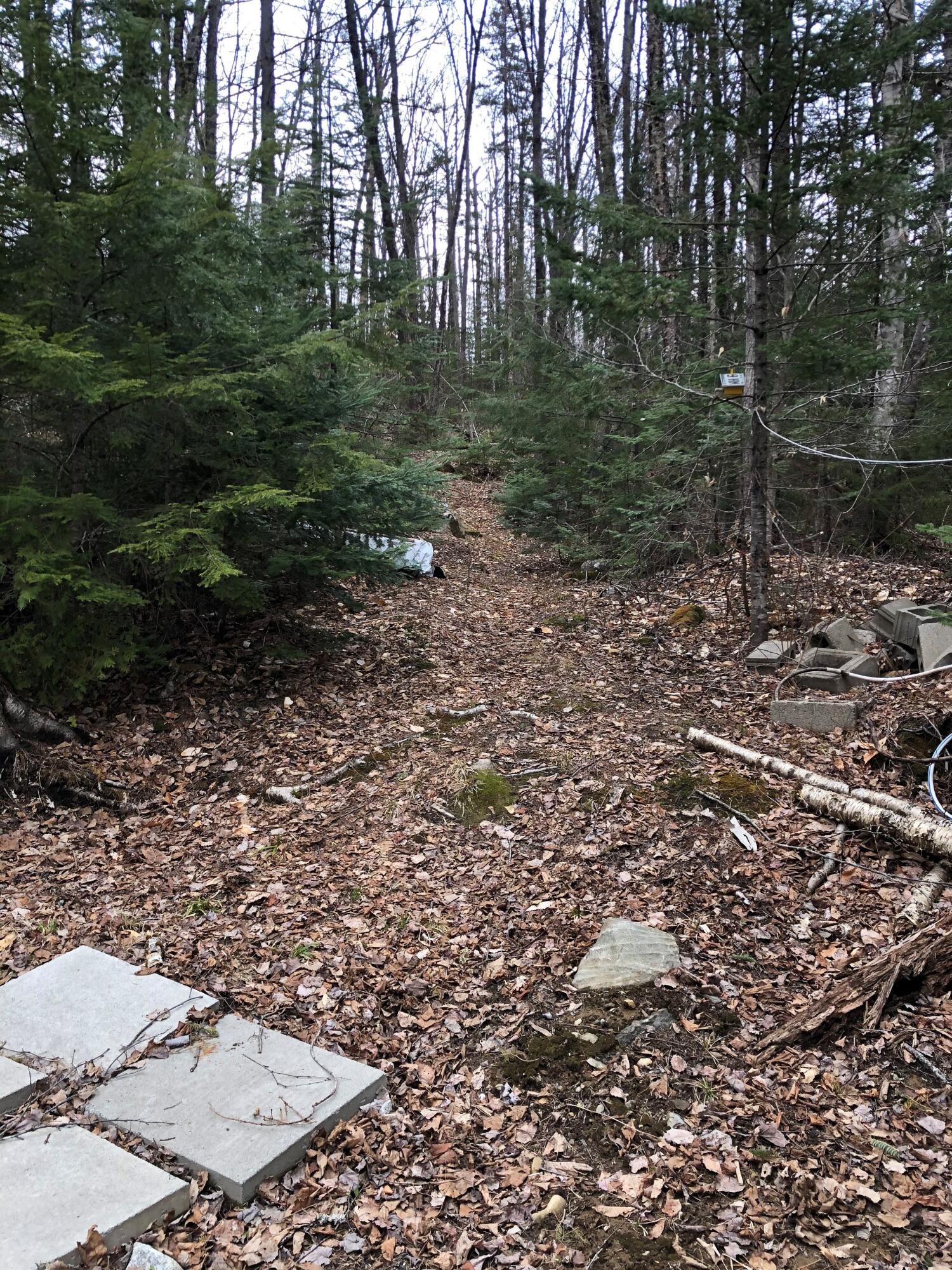 1064 Swift River Road Roxbury, ME 04275 - Photo 13 of 13 Back yard