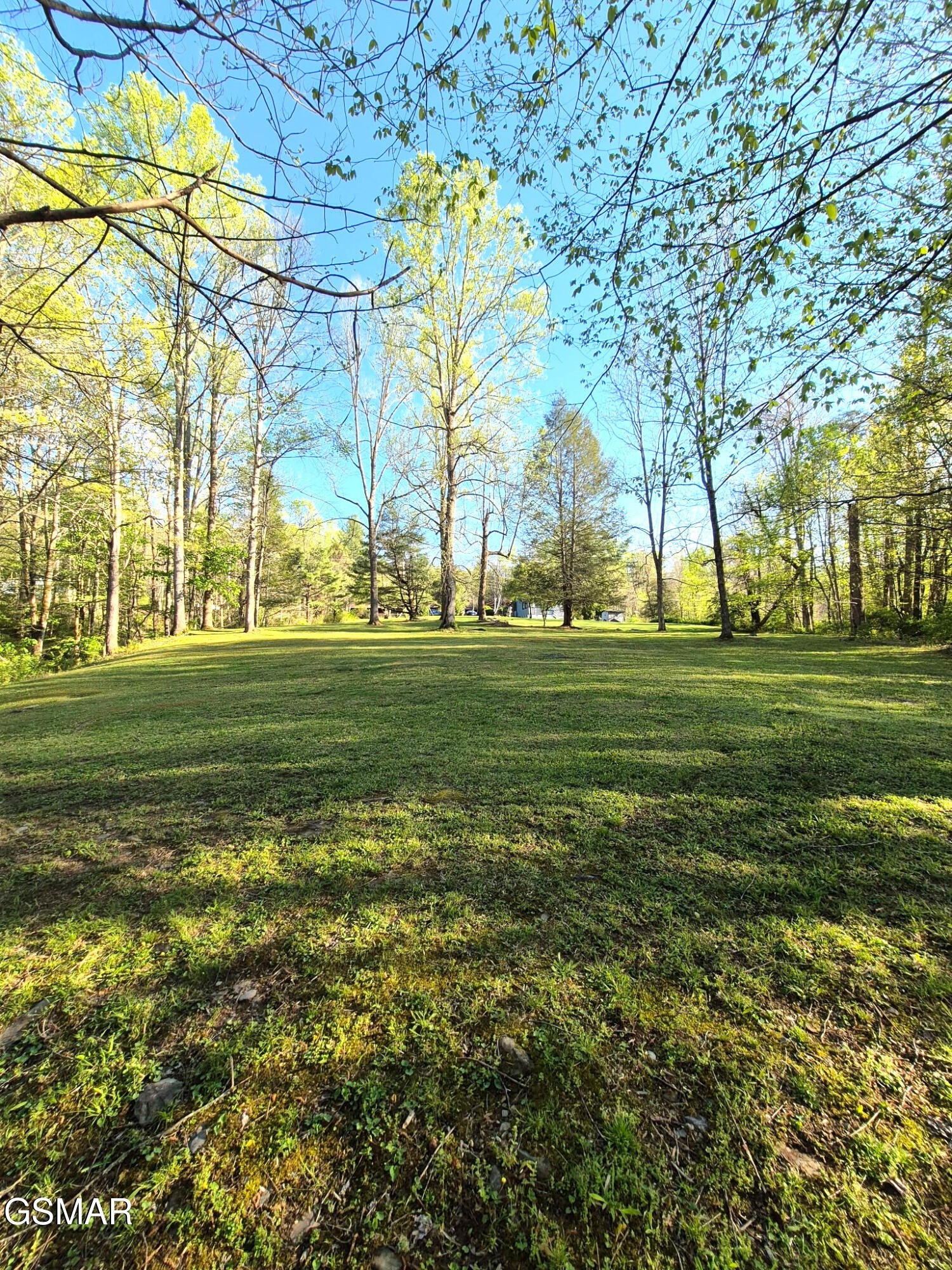 4455 Trail Hollow Road Cosby, TN 37722 - Photo 13 of 27 Gallery Image 13