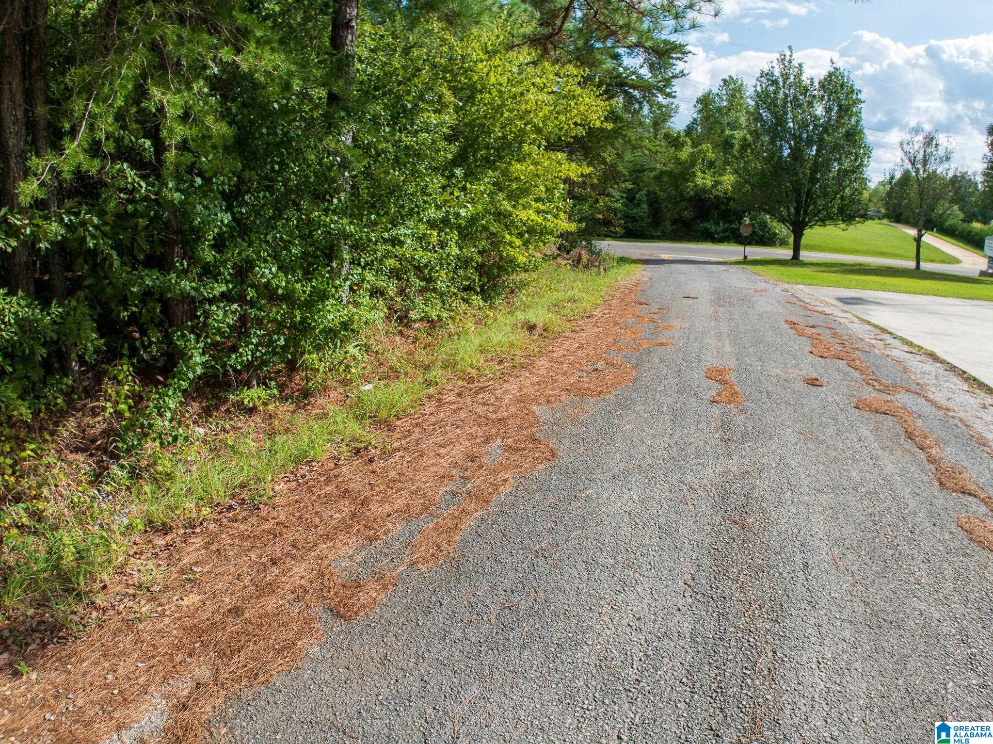 Old County Line Church Road Haleyville, AL 35565 - Photo 6 of 10 Gallery Image 6