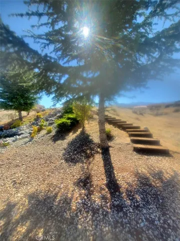 a living room with furniture gym equipment and a ceiling fan
