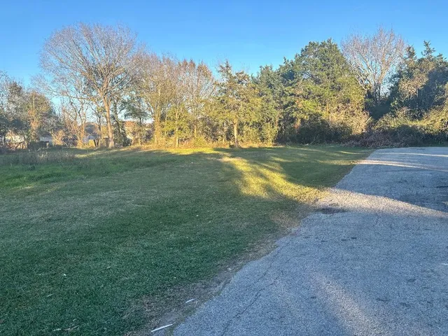 a view of yard with green space