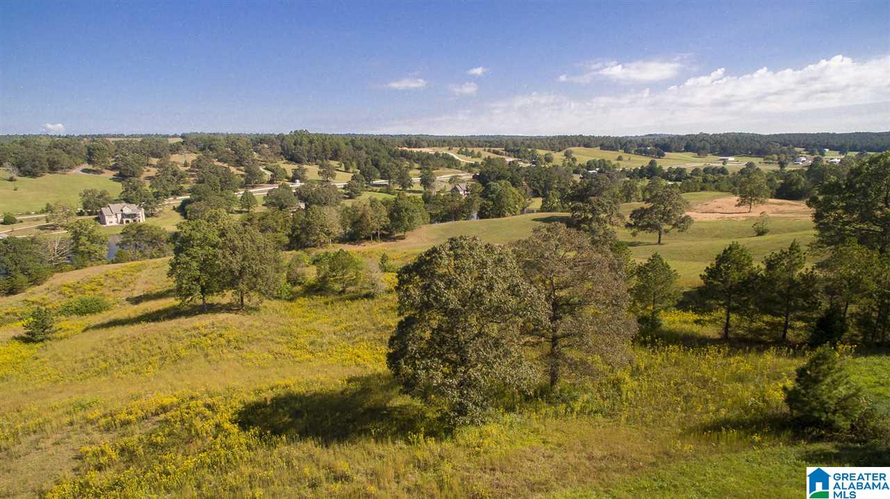 Lot 10 Whispering Pines Road, Unit 10 Vincent, AL 35178 - Photo 7 of 25