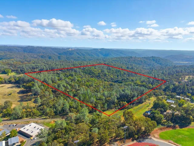 a view of a city with lush green forest