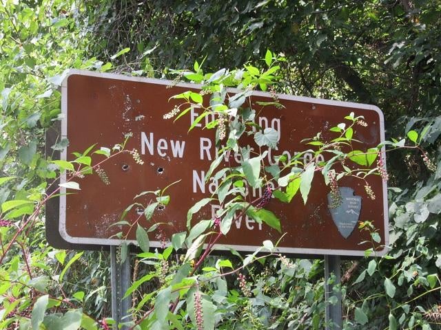 253 Claypool Road Meadow Bridge, WV 25976 - Photo 15 of 15 Gallery Image 15