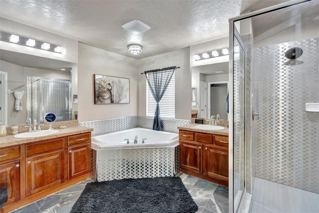 6932 Gray Catbird Loop Wesley Chapel, FL 33545 - Photo 12 of 25 a bathroom with a tub sink and mirror