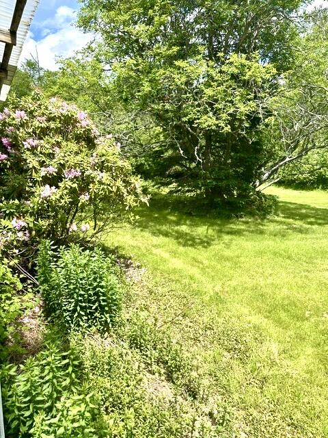 16 Rice Road Harrington, ME 04643 - Photo 17 of 19 IMG_6015