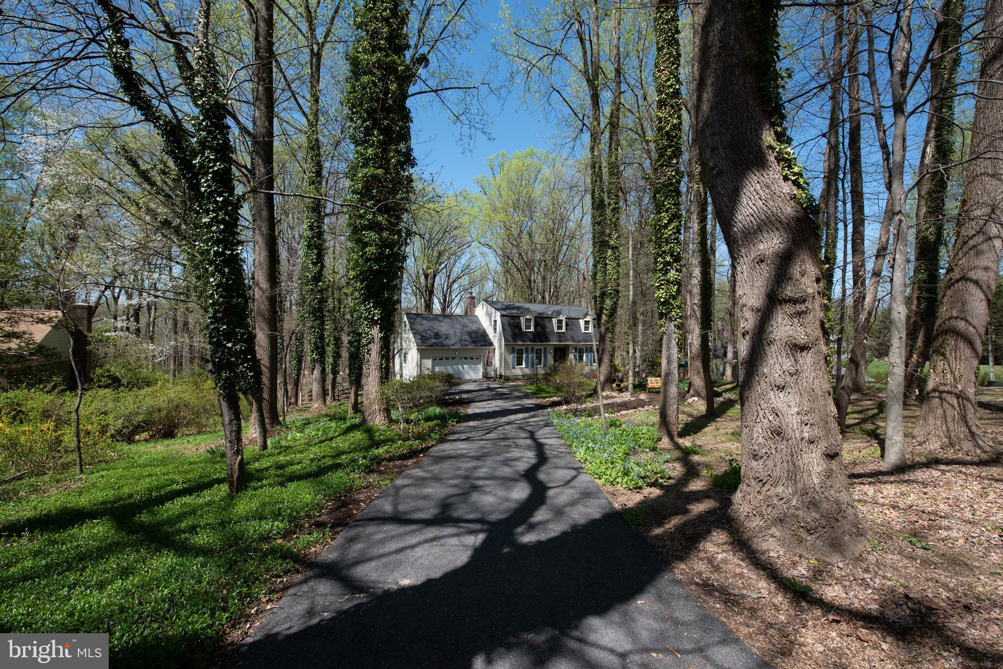 8524 Reservoir Road Fulton, MD 20759 - Photo 2 of 49 Long driveway through a wooded lot