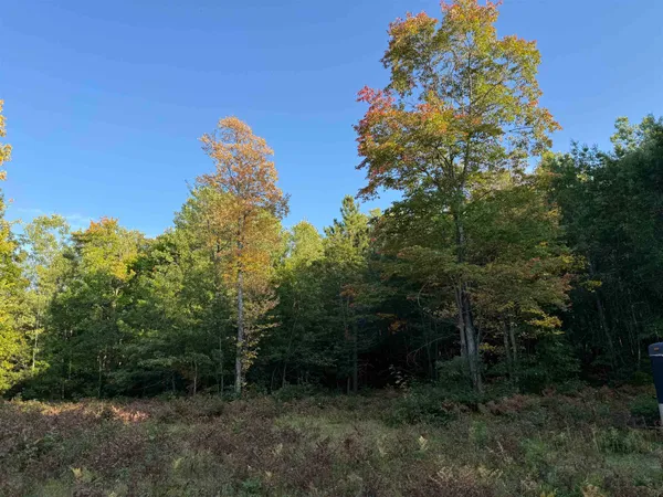 $34,900 | 0 Us Highway, Iron River, WI 54847