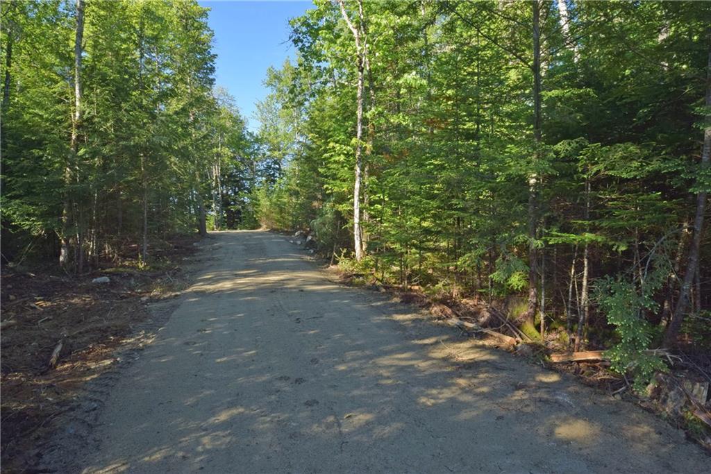 Lot 7 Loop Road Lincoln, ME 04457 - Photo 6 of 13 Photo