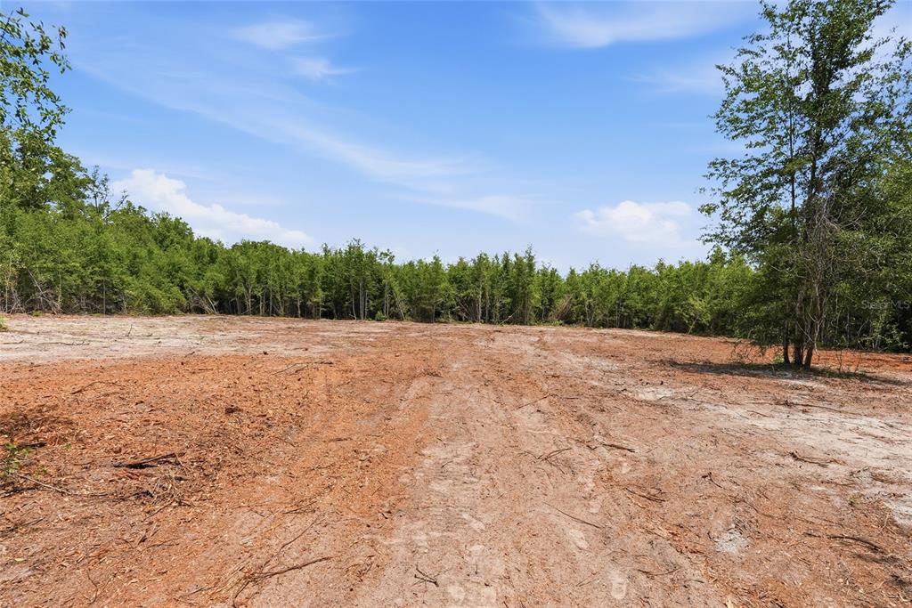 Southwest 188th Street Archer, FL 32618 - Photo 9 of 20 a view of dirt field with trees in background