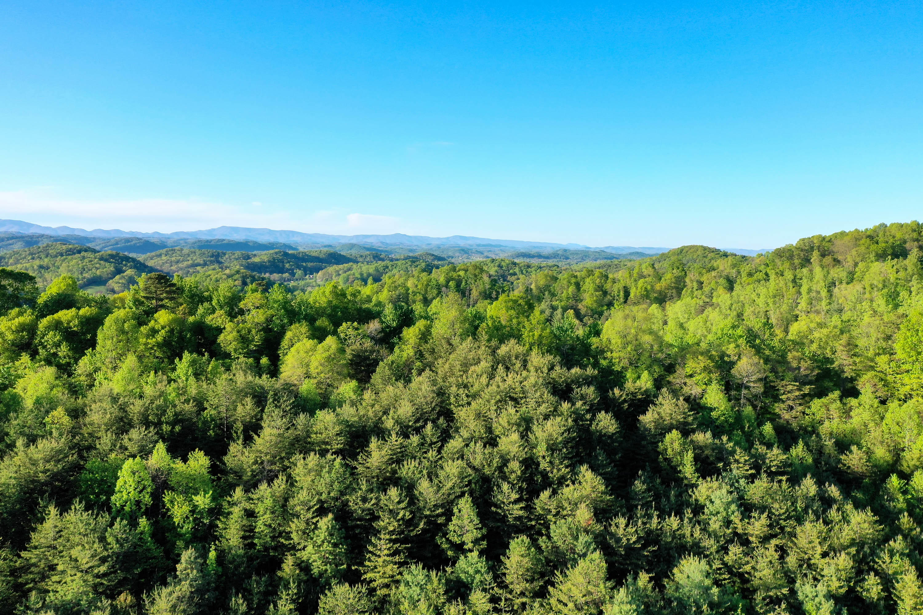 Tbd Sweet Hollow Road Bristol, TN 37620 - Photo 22 of 22 Sweet Hollow Rd